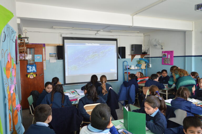 Actividades con proyección Nivel Primario